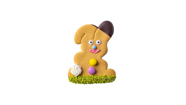 Easter Gingerbread Bunny